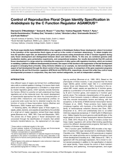 Control of Reproductive Floral Organ Identity