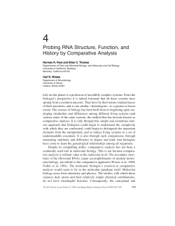 Probing RNA Structure, Function, and History by