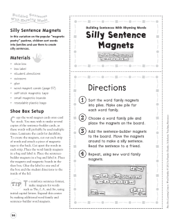 Directions Silly Sentence Magnets
