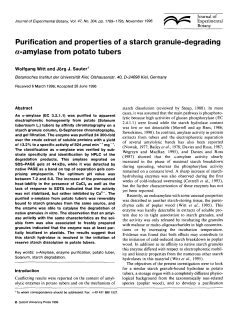 Purification and properties of a starch granule-degrading α