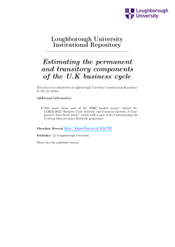 Department of Economics Business Cycle Volatility and Economic