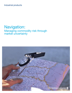 NY-09-0312-A-Navigation: Managing commodity risk through
