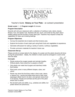 Grocery Store Botany Draft ll/20/10