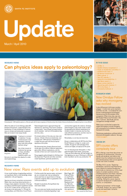 Can physics ideas apply to paleontology?