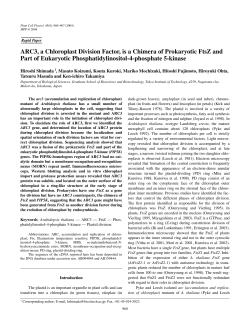 ARC3, a Chloroplast Division Factor, is a Chimera of Prokaryotic