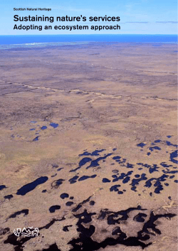 Sustaining nature`s services - Adopting an ecosystem approach