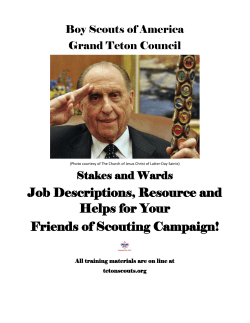 Job Descriptions, Resource and Helps for Your Friends of Scouting