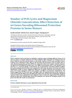 Number of PCR Cycles and Magnesium Chloride Concentration