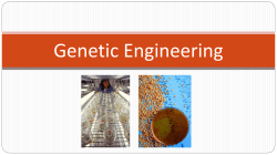 Introduction to Genetic Engineering