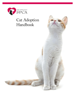 cat adoption handbook: table of contents