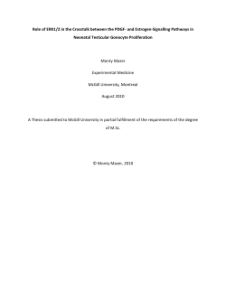 Spermatogenesis is the male germ cell pathway necessary for