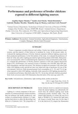 Performance and preference of broiler chickens exposed to different