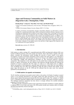 Algae and Protozoa Communities on Solid Matters in Jingyuetan