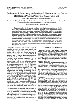 Influence of Osmolarity of the Growth Medium on the Outer