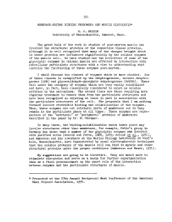 Membrane-Enzyme Binding Phenomena and Muscle Glycolysis