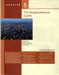The Biogeochemical Cycles