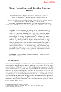 Shape Normalizing and Tracking Dancing Worms