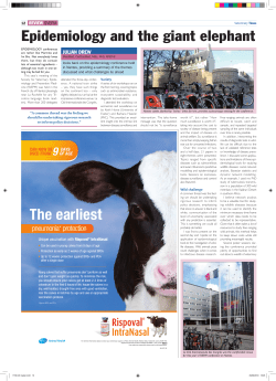 Epidemiology and the giant elephant