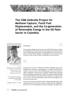 The CDM Umbrella Project for Methane Capture, Fossil