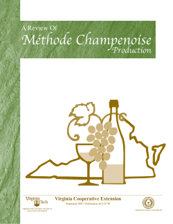 M&eacute;thode Champenoise, Production, A Review