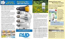 Illuminating Your Light Bulb Options