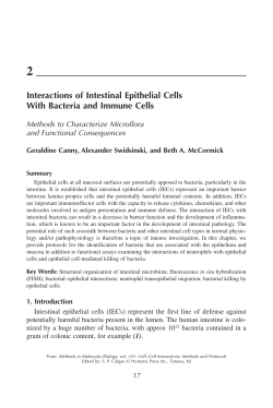 Interactions of Intestinal Epithelial Cells With Bacteria