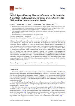 Initial Spore Density Has an Influence on Ochratoxin A Content in