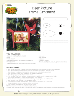 Deer Picture Frame Ornament - The Daily Explorer