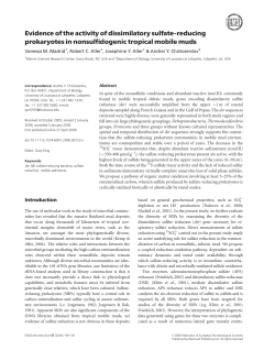Evidence of the activity of dissimilatory sulfate