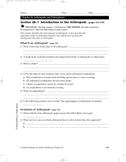 Section 28&ndash;1 Introduction to the Arthropods