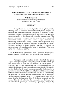 Phytologia (August 2011) 93(2) 157 THE GENUS LAGENA