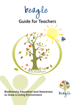 teachers guide