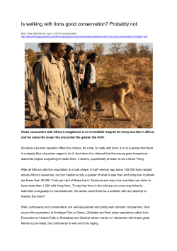 Is walking with lions good conservation? Probably