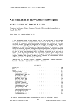 A reevaluation of early amniote phylogeny
