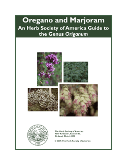 Oregano and Marjoram - Herb Society of America