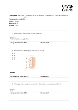6004-30 L3 Adv Tech Comp Therapies SAQ 030