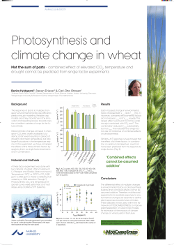 Photosynthesis and climate change in wheat_BEHY