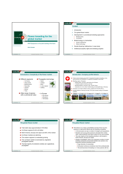 Flower breeding for the global market