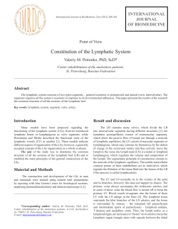 Constitution of the Lymphatic System