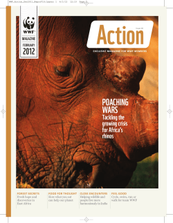 poaching wars - the basic PDF update here.