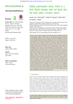 Highly polymorphic colour vision in a New World monkey with red