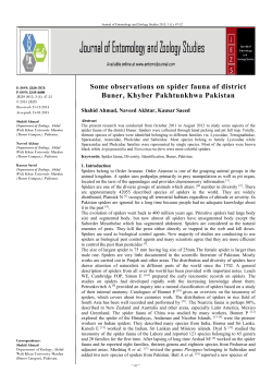 Some observations on spider fauna of district Buner, Khyber