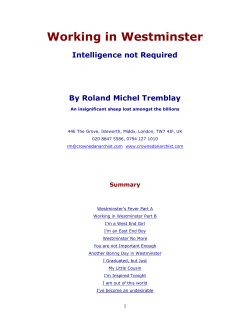 Working In Westminster - The Crowned Anarchist Literature