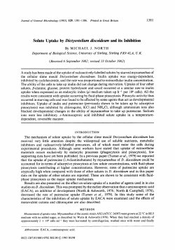 Solute Uptake by Dictyostelium discoideum and its