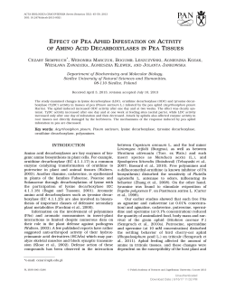 EFFECT OF PEA APHID INFESTATION ON ACTIVITY OF AMINO