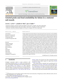 Created pools and food availability for fishes in a restored salt marsh