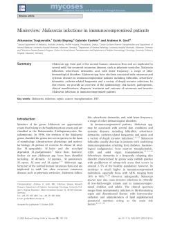 Malassezia infections in immunocompromised
