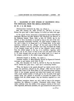 IX. - DIAGNOSES OF NEW SPECIES OF - UvA-DARE