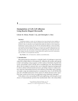 Manipulation of Cell&ndash;Cell Adhesion Using Bowtie