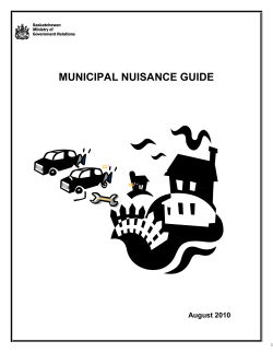 MUNICIPAL NUISANCE GUIDE